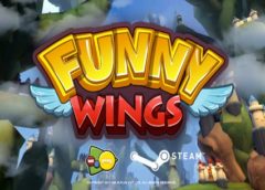 Funny Wings VR (Steam VR)