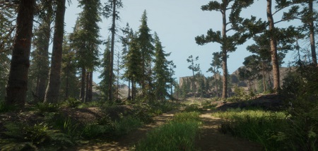 A Walk in the Woods (Steam VR)