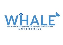 W.H.A.L.E. (Steam VR)